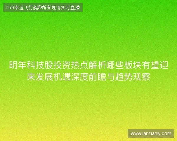 明年科技股投资热点解析哪些板块有望迎来发展机遇深度前瞻与趋势观察